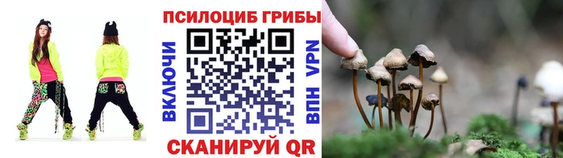 Галлюциногенные грибы Magic Shrooms  Александровск-Сахалинский 